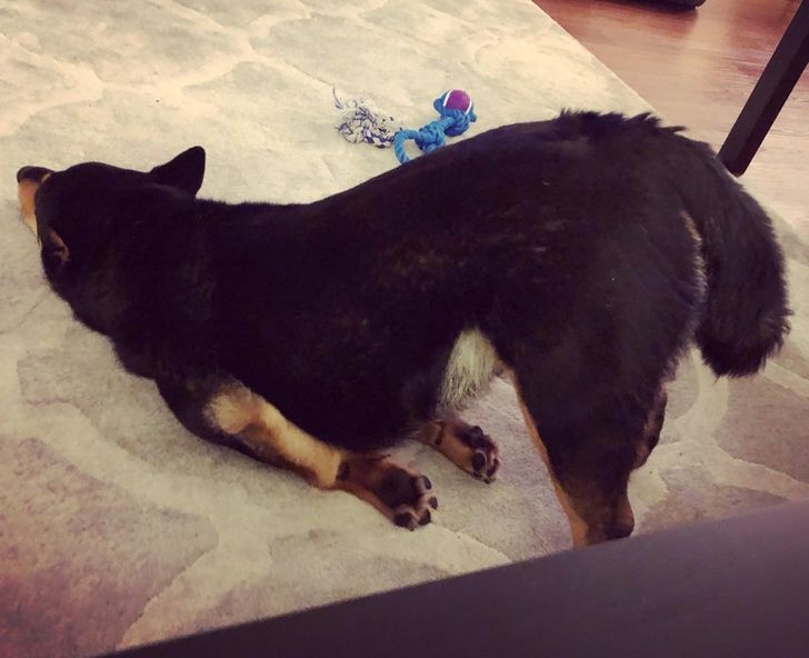 26338453f592eaab12f70ccd72