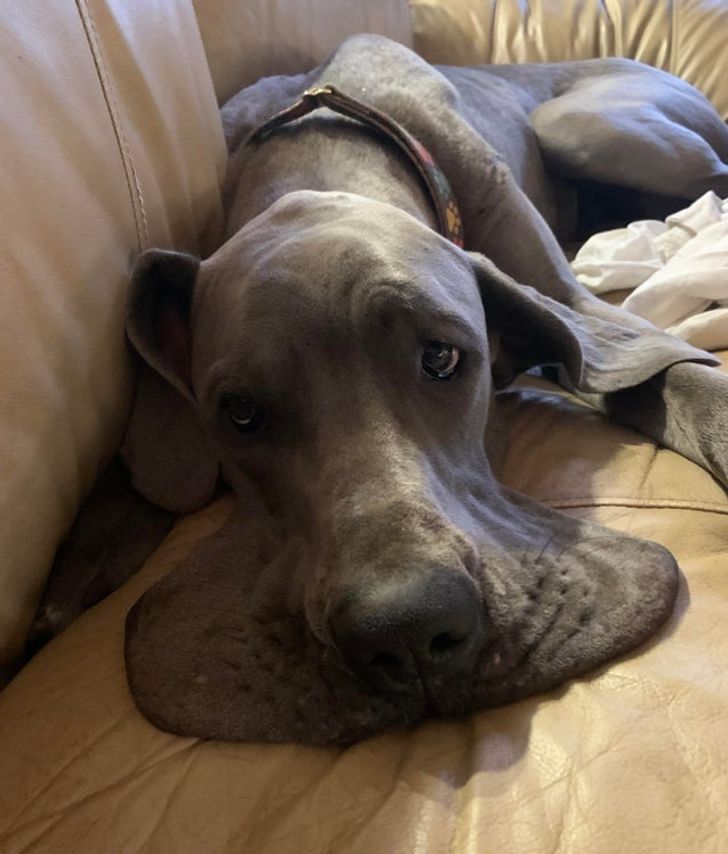 263fa95b97a2ecaaa3937d0f19