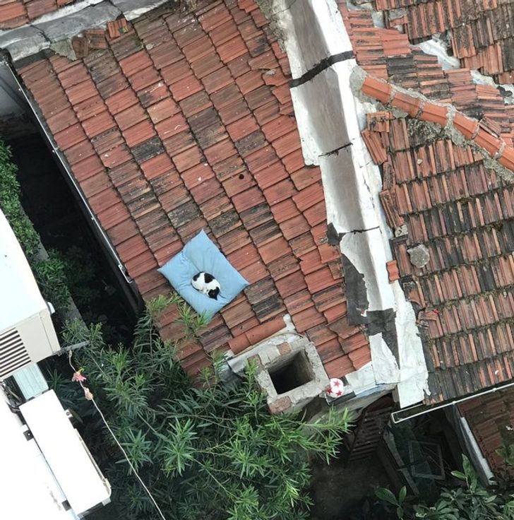 2656e65e09957e3057a80b6743