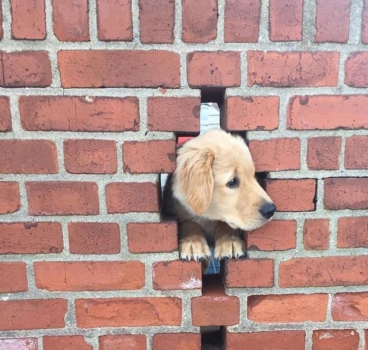 2657c0515fb34b4baa9b602de1