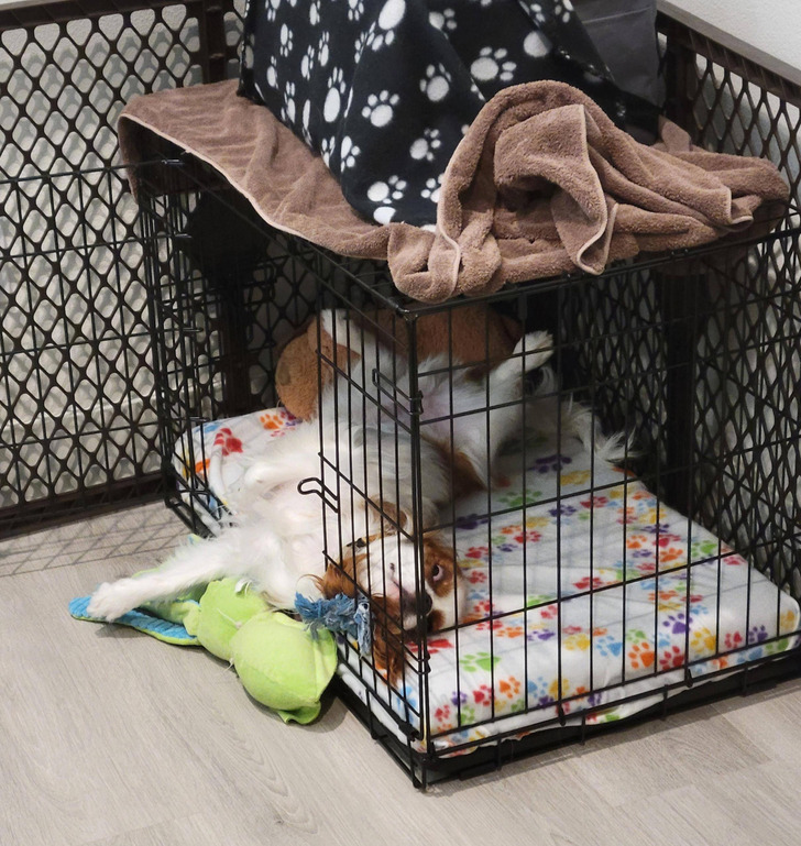 265a0e50169c8956633b12e381