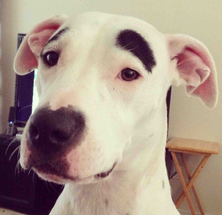 2660aa5d69930560aaa588c58e