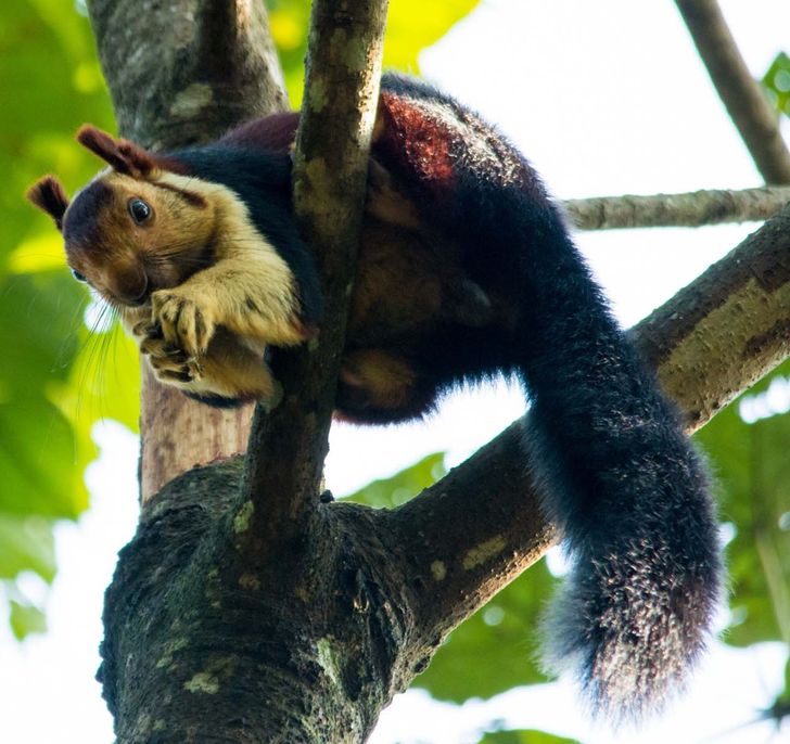 26632158d6a686675620fd47bc