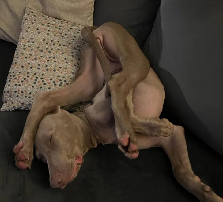 26671b5f1f8d26ca16f82637e3