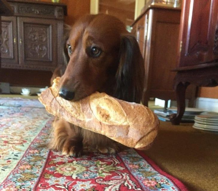 26683253a39878e84bf03a62a6