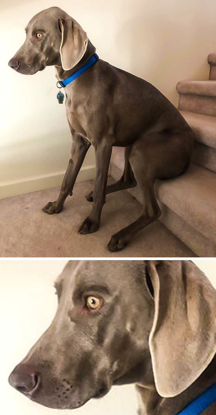 2668e15982953c96047871a598