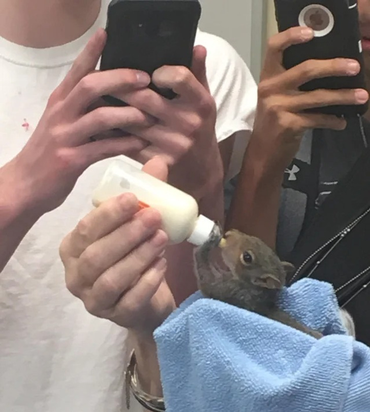 266e945d7a8b7e83ae3ccd6625