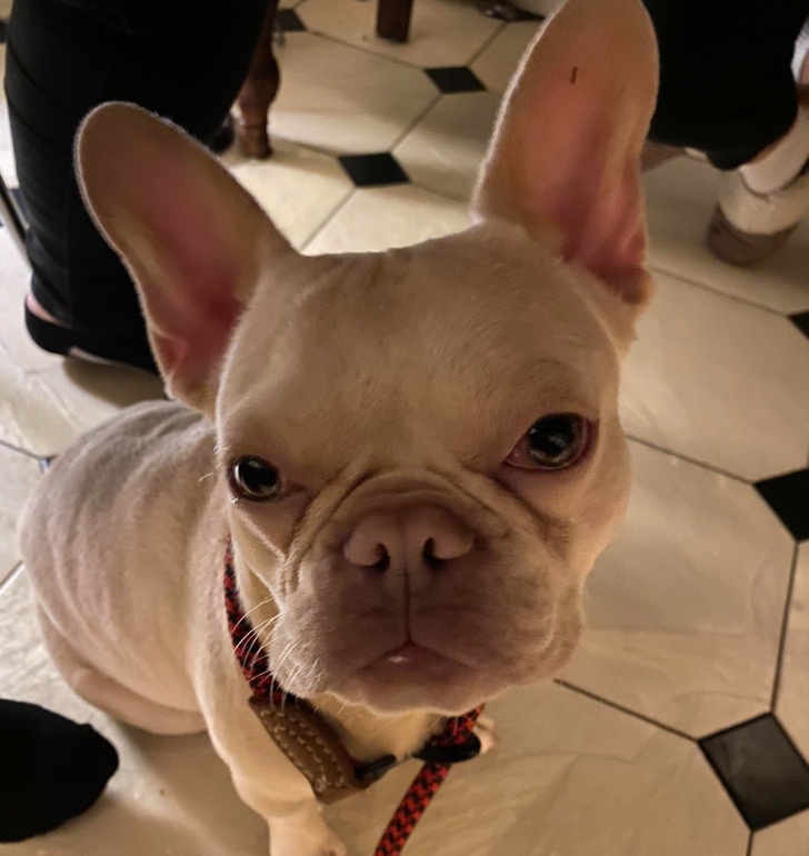 2673b65e9f8390bc920bf5a8b4