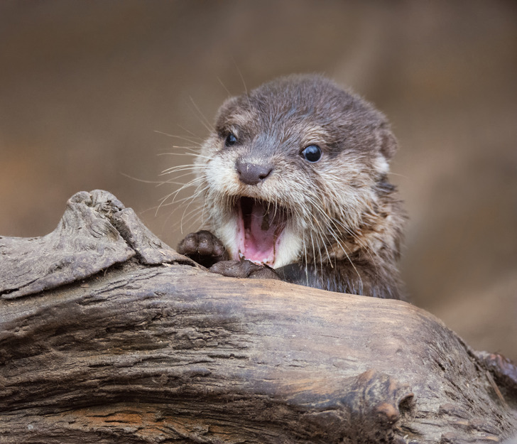 267e6b58c4bca6062c0e784313