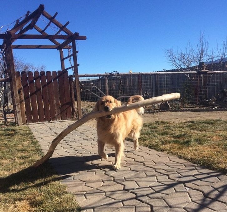 267f40574b890c55d27f5f6d63