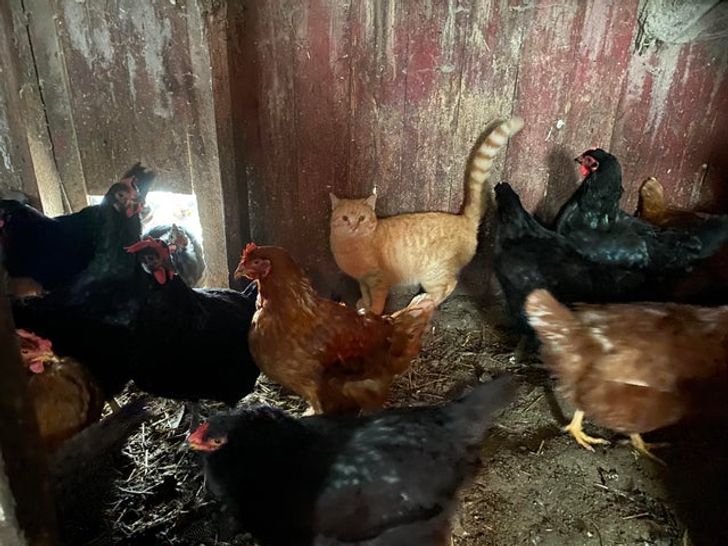 26845c503eba469abacfbe1dec 26845c503eba469abacfbe1dec