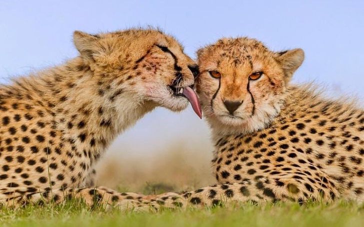 2684aa590cb7b59c2fc5f62b1a