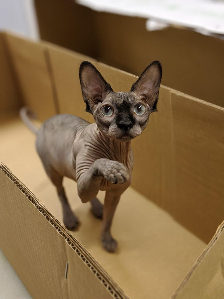 26855e55bc9eea78893cdebfb5