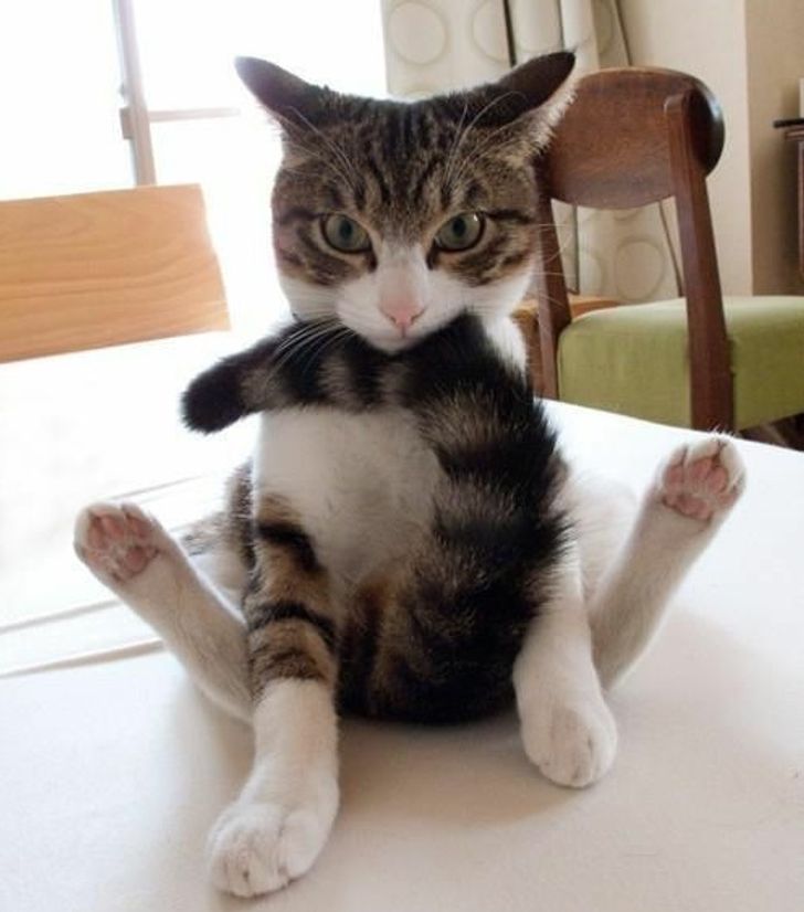 268f61541199acda7c0a101dca