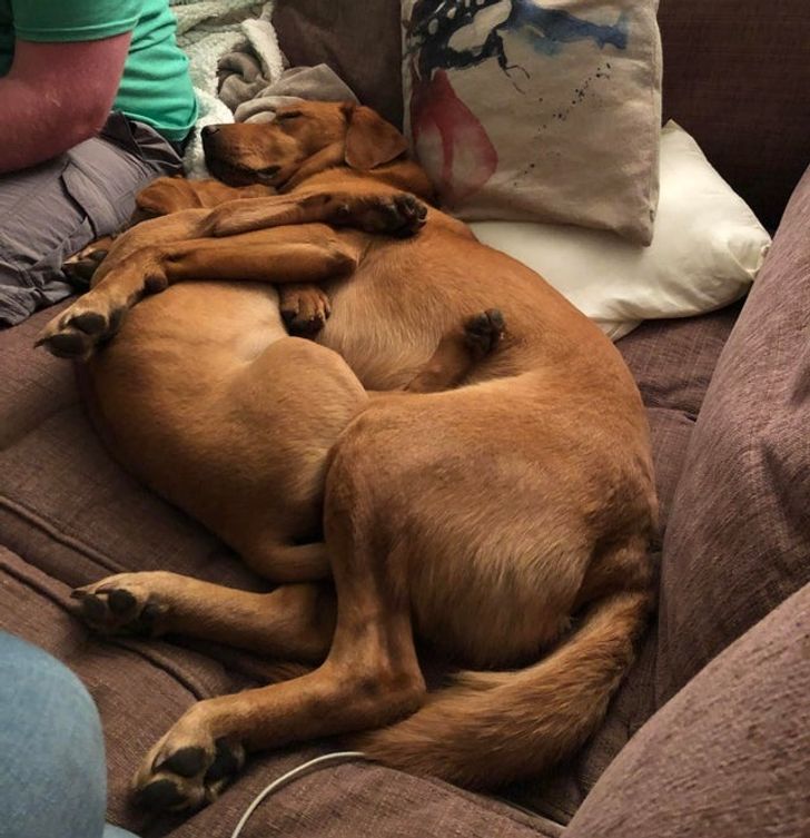 268fe7556e888518175769d5da