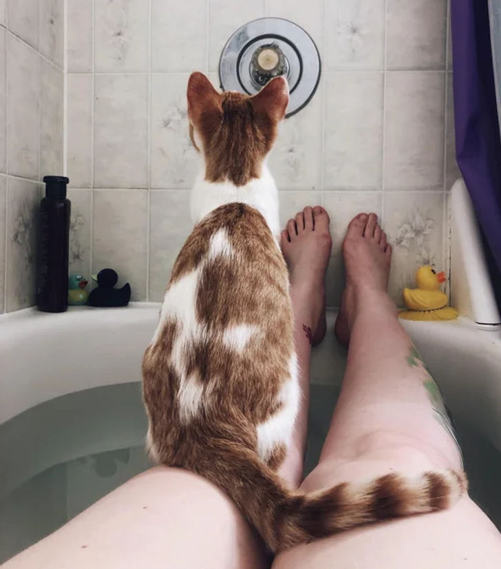 2695605233a6e450198f1788f8 2695605233a6e450198f1788f8