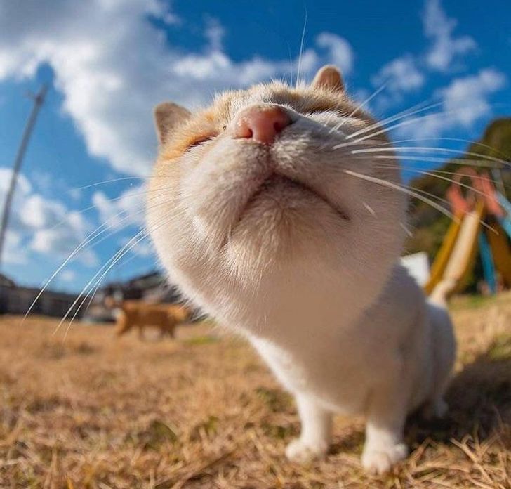 269edb5e82a57c55361f10b9ea