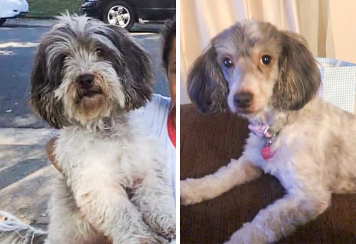 26a28552ed833a5b20267d6908