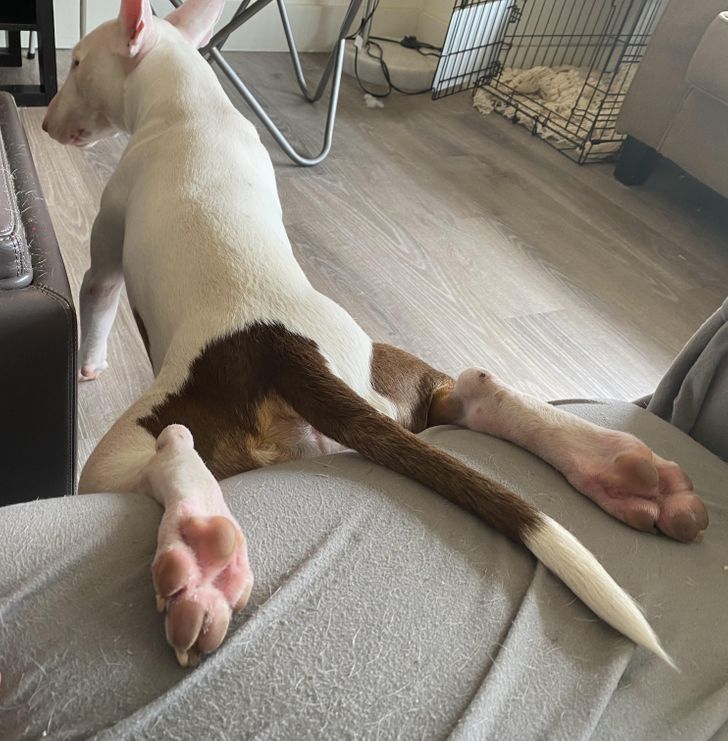 26a30e5715b8c780200d05c77f 26a30e5715b8c780200d05c77f