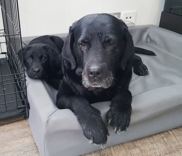 26a7055df492b8aedb7eec7eba