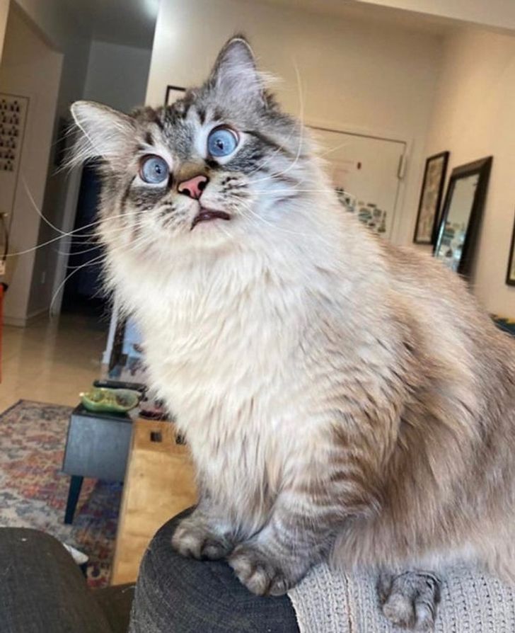 26b7e7555a9bc7b15b212a466d