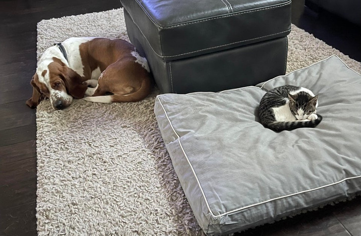 26ba9d569dba6194ae43bebc0b 26ba9d569dba6194ae43bebc0b