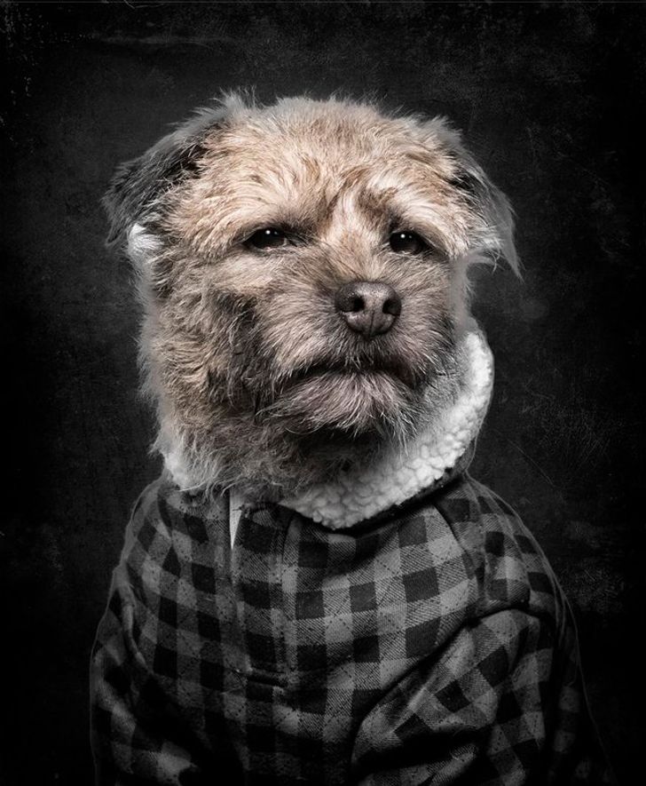 26bbb2583bb949df570cae44a7