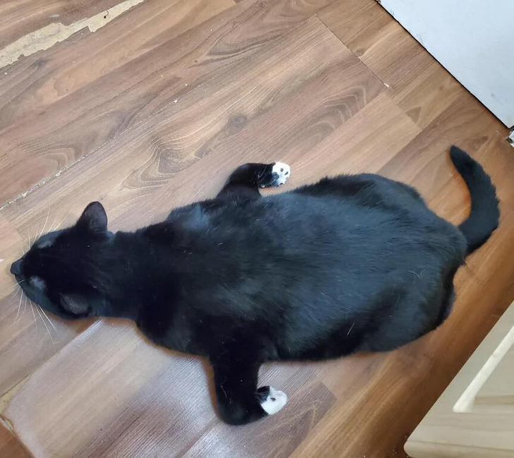 26c50c5a9ea291b56e899fd07a