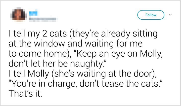 26c726501d9627bc7ea6574201