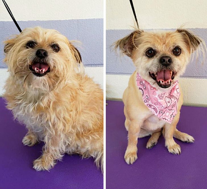 26d45d5d42a7b6abadf231ed06