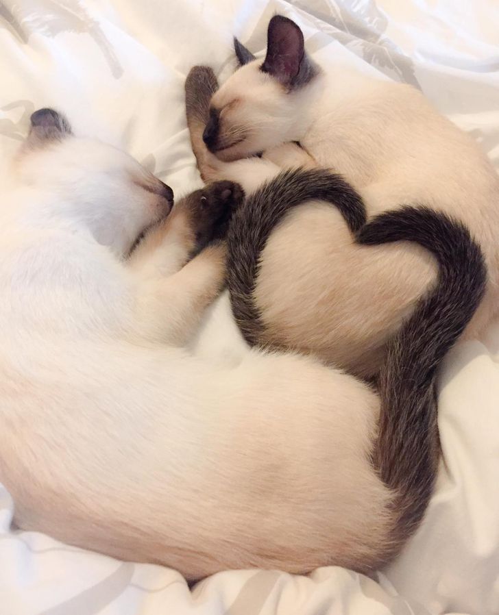 26d8895465ac9c5f3bdab5d30d