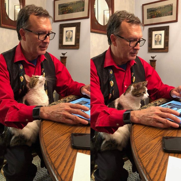 26d8965ecfa363dc89fda72373