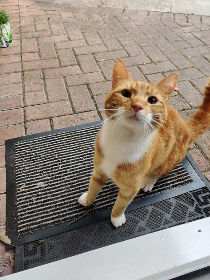 26e7ec59d68248bc28783a958c 26e7ec59d68248bc28783a958c