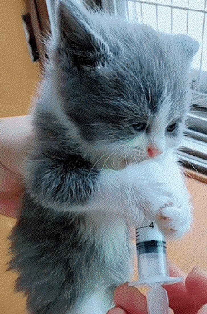 26ed5453de9afdbee666f7b34d