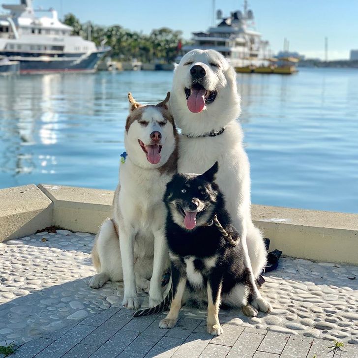 26f6f7590ca5772cc8e6ee9cd5