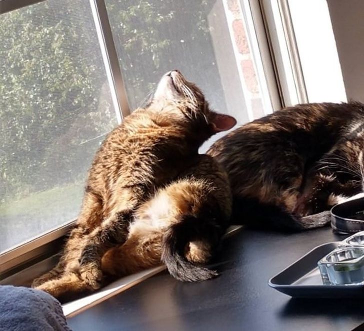 26f98456fe93afed1ca2c8042a