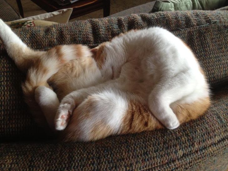 26ffbc52fe876b4acbf79c0a14