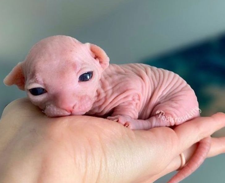 270cd755eb82e7783abdc028b2