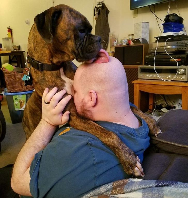 2718d951cbadb65d593c050905