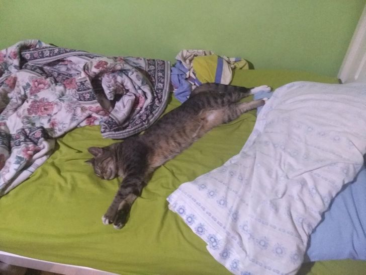 271a195630b354f643a4551f0f