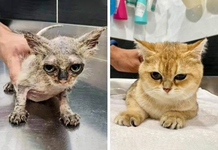 271ae85717a246a5e49ccf1ec3