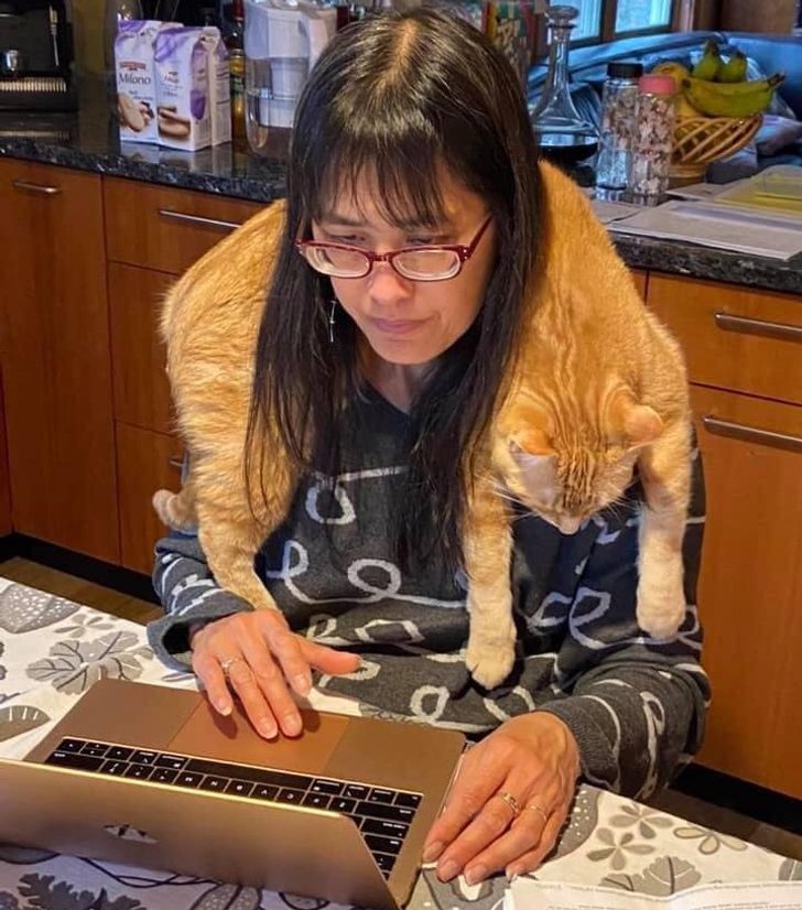 271bc55cec9ab630c30550fe8a