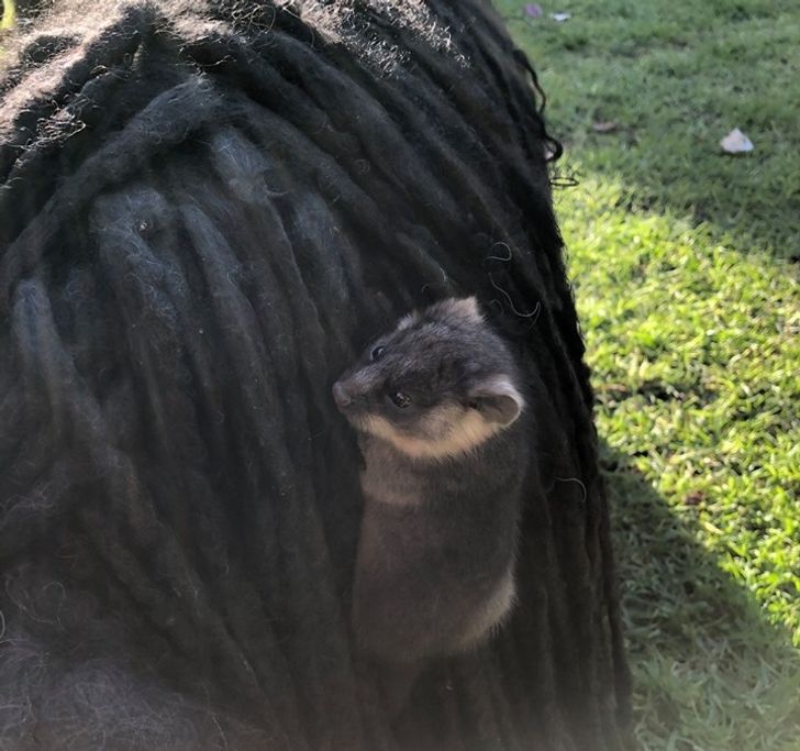 271eca512c850782cb8765c83a