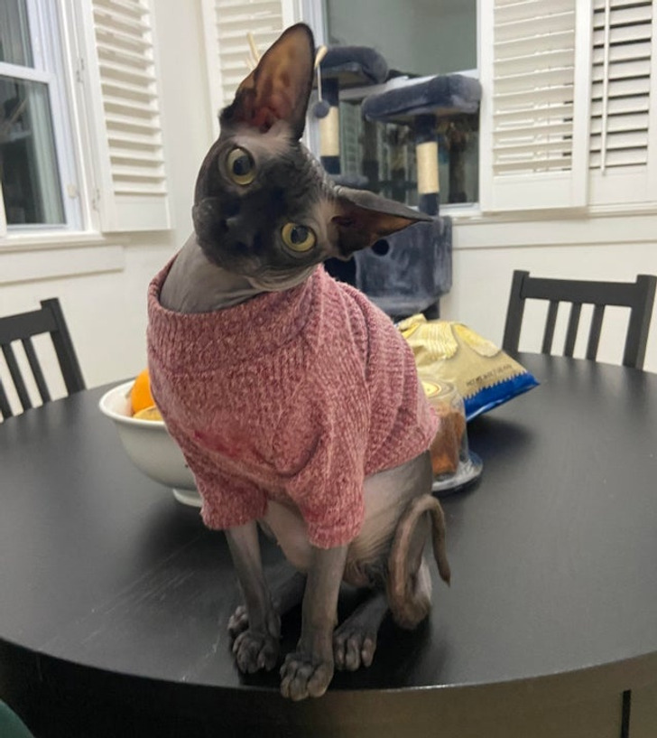 2720b05c86bb430420e97ae74b