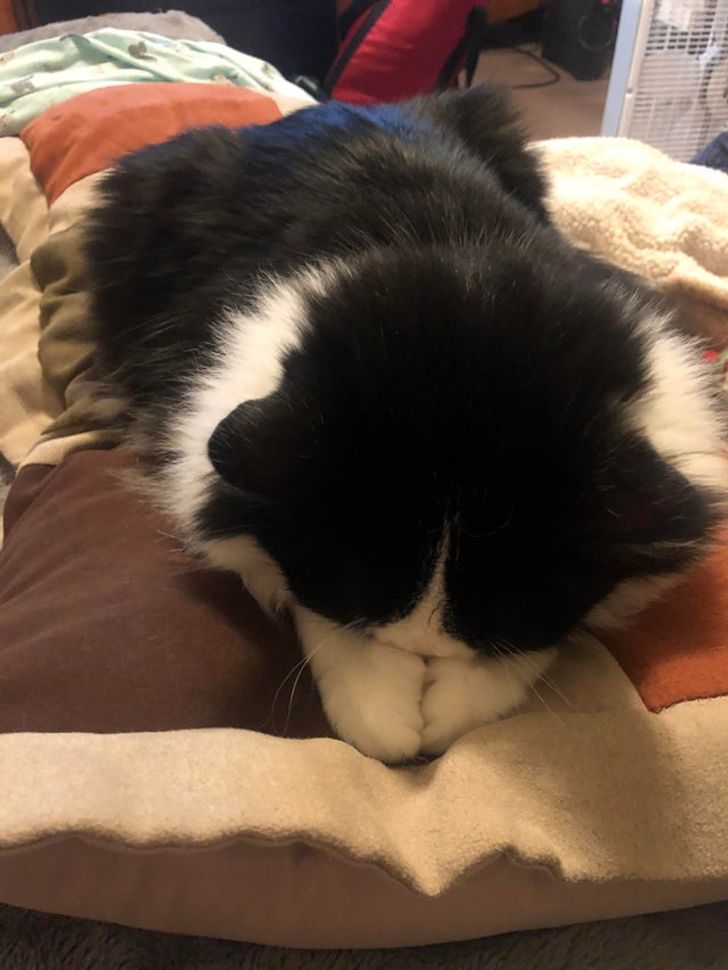 27260a5c378660e604c2c5cfc1