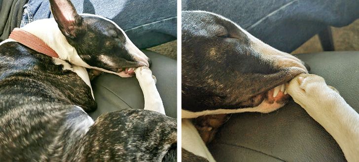 272da05b89affdbc188df17e30