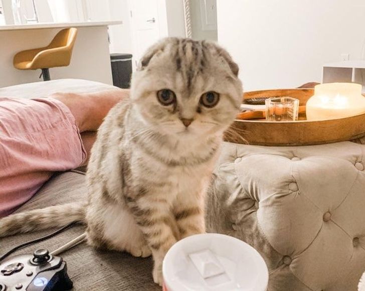 272e655b2395fc9f7b98f55e93