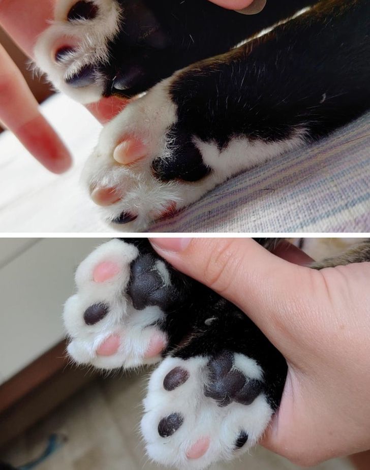 2730e257ec843b4a30e0549586