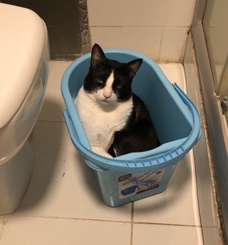 2736875eb5bdf4cefa9e94cc40 2736875eb5bdf4cefa9e94cc40