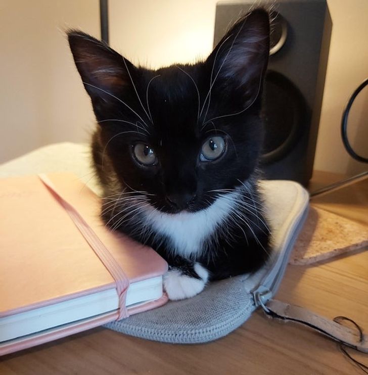 27369550bc9afad9fbf377a087